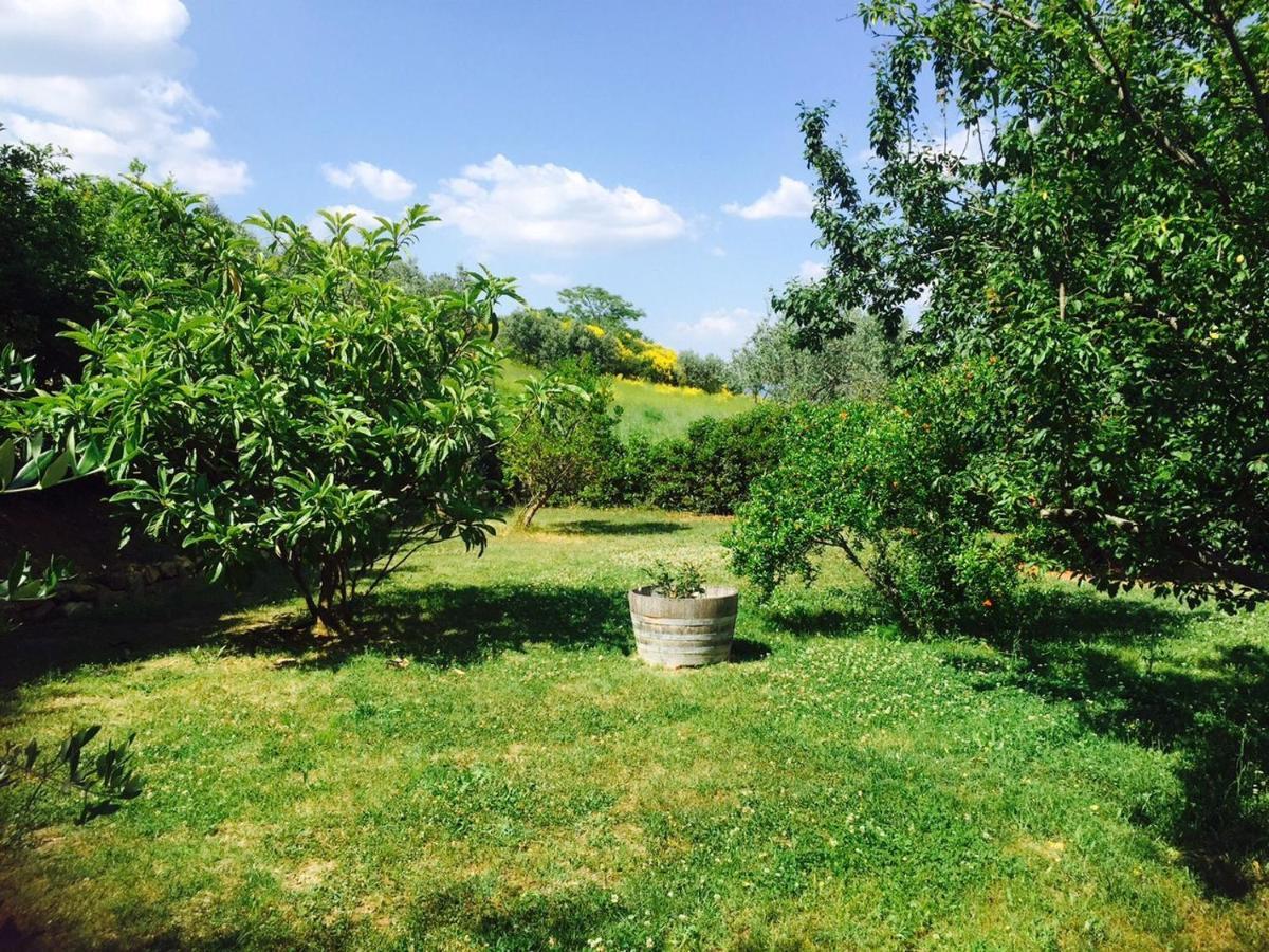 Rosso Del Chianti Bed & Breakfast Panzano in Chianti Ngoại thất bức ảnh