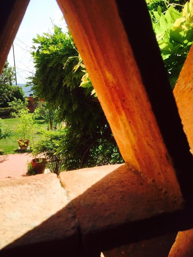 Rosso Del Chianti Bed & Breakfast Panzano in Chianti Ngoại thất bức ảnh