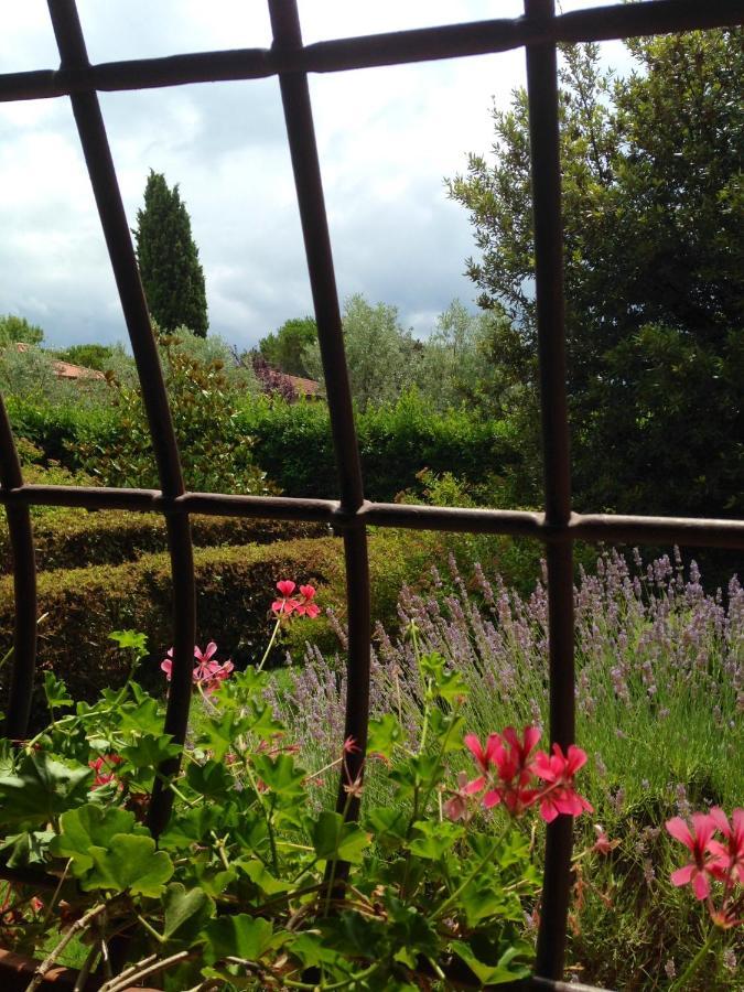 Rosso Del Chianti Bed & Breakfast Panzano in Chianti Ngoại thất bức ảnh