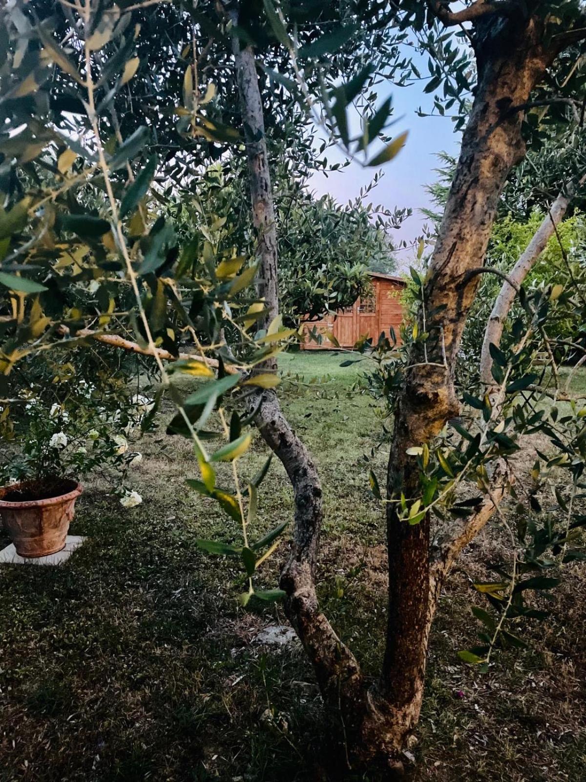Rosso Del Chianti Bed & Breakfast Panzano in Chianti Ngoại thất bức ảnh